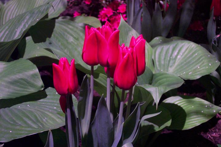 L_W 023.jpg